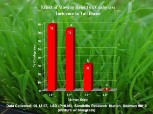 Lawn-Care-Myths-Mowing-Height