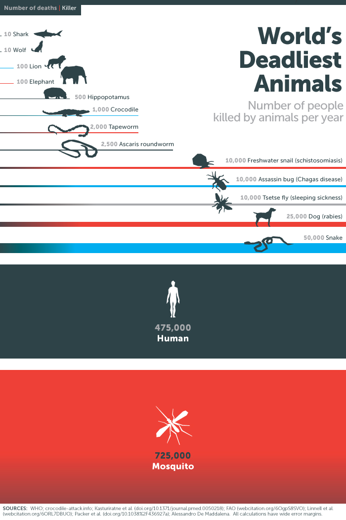 Deadliest-Animal-Mosquito