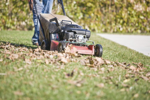 Autumn-Mowing-Leaves-and-Winter-Weeds