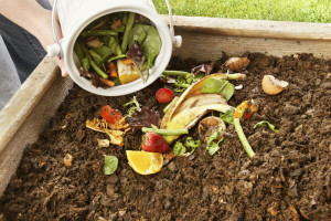 Compost-add-greens