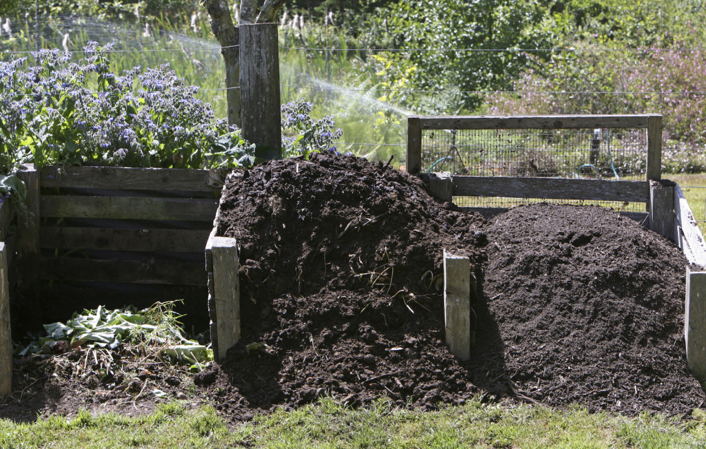 Compost-Pile